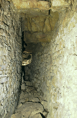 Tiergartentunnel